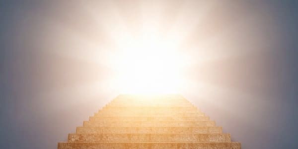 東京チーフデザイナー